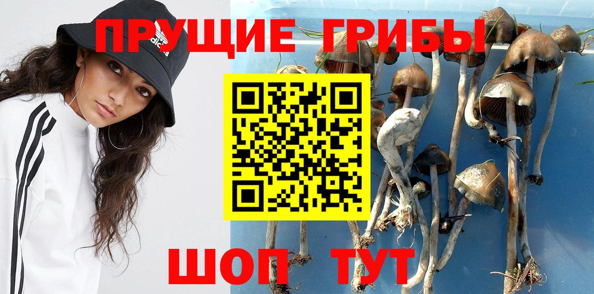 Галлюциногенные грибы мухоморы  даркнет сайт  Георгиевск  Вход с VPN 